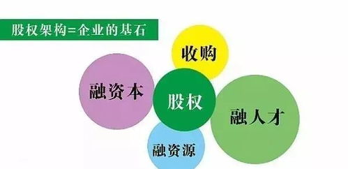 穿透迷雾 全面解析股权投资的各类业态
